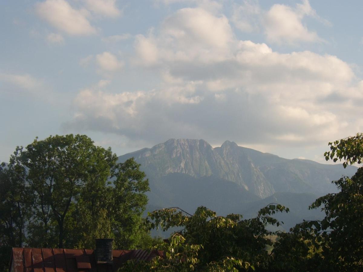 Willa U Kasi Zakopane Exterior foto